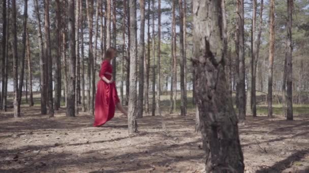 Mujer elegante en vestido rojo bailando en el paisaje del bosque. Hermosa bailarina contemporánea. Chica graciosa corre y salta. La cámara se mueve en paralelo con la chica. Disparando desde el costado. Movimiento lento — Vídeo de stock