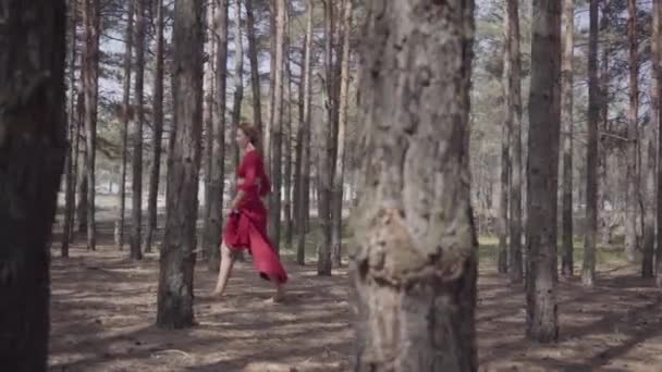 Piękna kobieta w długiej czerwonej sukni spaceru w lesie. Koncepcja kobiecej czułości i życia harmonii. Spektakularny imponujący widok. Zwolnionym. — Wideo stockowe