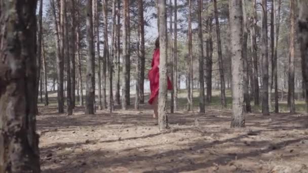 Jeune femme professionnelle gracieuse en robe rouge dansant dans le paysage forestier. Danseuse montrant des poses de ballet classique et sautant haut dans les airs. Concept de tendresse féminine et de vie harmonieuse 