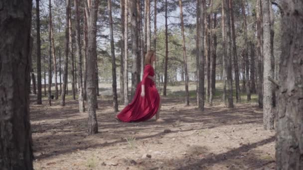 Orman manzarasında dans eden kırmızı elbiseli becerikli kadın. Güzel çağdaş dansçı. Zarif kız koşar ve atlar. Kamera kızla paralel hareket ediyor. Yandan çekim. — Stok video