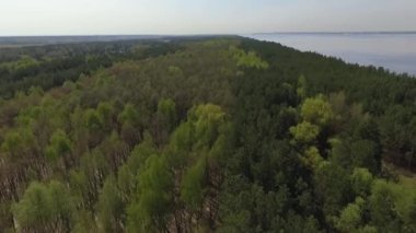 Yeşil orman ve mavi göl dron gelen üst görünümü. İnanılmaz doğa