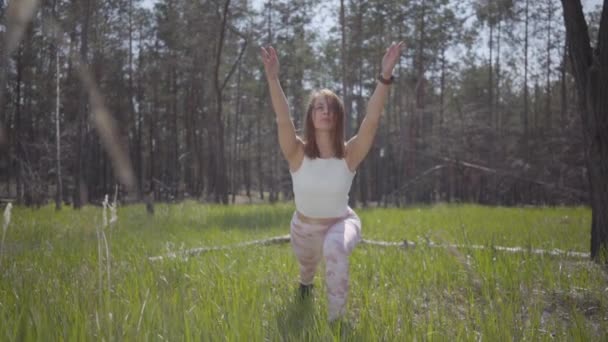 Retrato saludable pacífica linda mujer haciendo yoga fitness estiramiento en el bosque. Una naturaleza espectacular. Preciosa graciosa tierna morena deportiva practicando ejercicios al aire libre. Movimiento lento . — Vídeo de stock