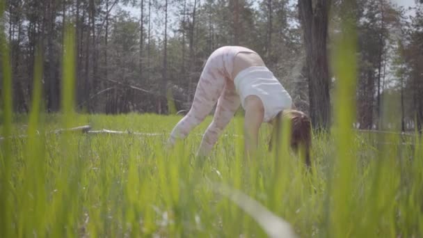 Retrato mulher bonito saudável fazendo ioga fitness alongamento na floresta. Natureza espetacular. Linda graciosa macia esportes morena praticando exercícios ao ar livre. Movimento lento . — Vídeo de Stock