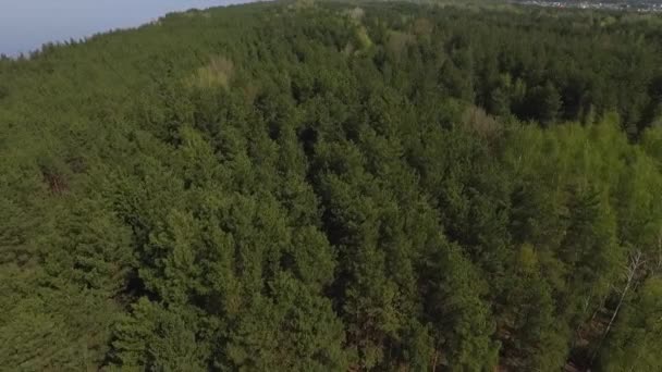 Vue de dessus depuis dron de forêt verte et lac bleu. Nature incroyable — Video