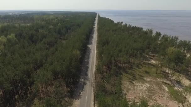 Zelený Les nalevo, modré jezero vpravo a dlouhá Přímá cesta doprostřed. Nádherná povaha. Pohled shora z dronu. — Stock video