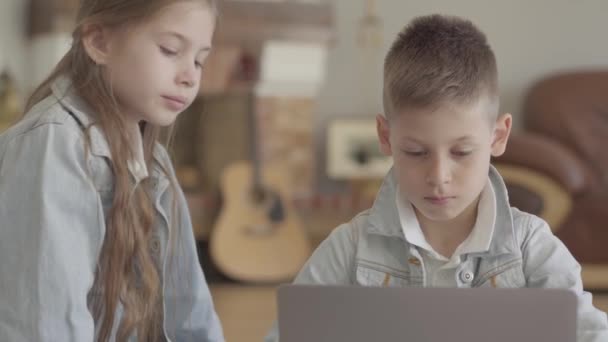 Porträt entzückender, konzentrierter Junge tippt oder spielt am Laptop, und seine Zwillingsschwester beobachtet interessiert, was er tut — Stockvideo