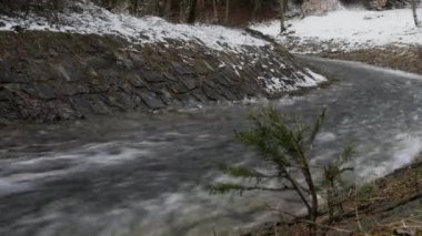 Genç Noel ağacıkarlı dalı nehir üzerinde büyük köpük yaratarak hızlı hareket eden şelale arka planda rüzgardan sallayın. Panoramik çekim ve ortam sesi. Orijinal ortam sesi.