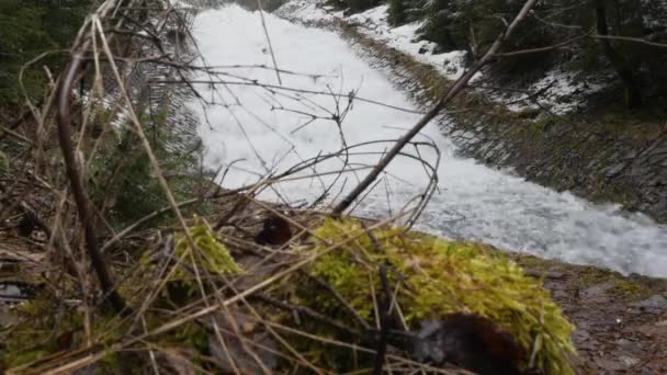 Snelle flowig bewegende waterval creëren enorme schuim op rivier gelegen in het pittoreske voorjaar natuurlijke plek in het vroege voorjaar. Panoramische schiet-en omgevingsgeluid. Origineel omgevingsgeluid. — Stockvideo