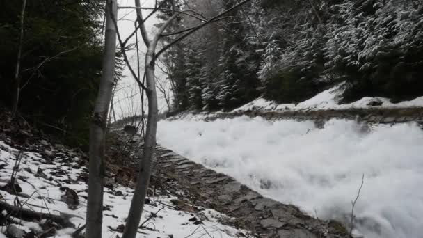 Picturesque view of fast flowing river with speed current creating foam in amazing winter forest with trees. Panoramic shooting and ambient sound. Original ambient sound. — Stock Video