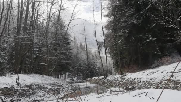 Verbazingwekkende scène weergave van snel stromende rivier met snelheid huidige maken van schuim in verbazingwekkende winter bos met bomen. Panoramische schiet-en omgevingsgeluid. Origineel omgevingsgeluid. — Stockvideo