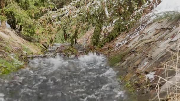 Chute d'eau rapide créant une énorme mousse sur la rivière. Prise de vue panoramique et son ambiant. Son ambiant original . — Video