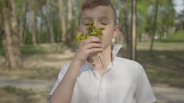 Elinde karahindiba çiçekleri olan genç bir çocuk bir buket vermek için bekliyor. Açık hava eğlencesi.