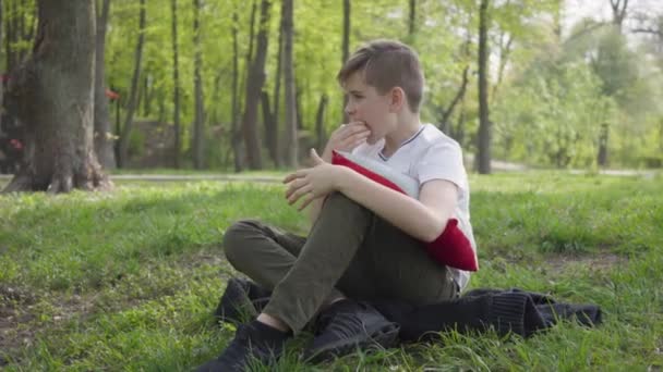 Porträt eines kleinen Jungen, der mit Kopfkissen im grünen Park sitzt und draußen einen Apfel isst. Freizeitgestaltung im Freien. — Stockvideo