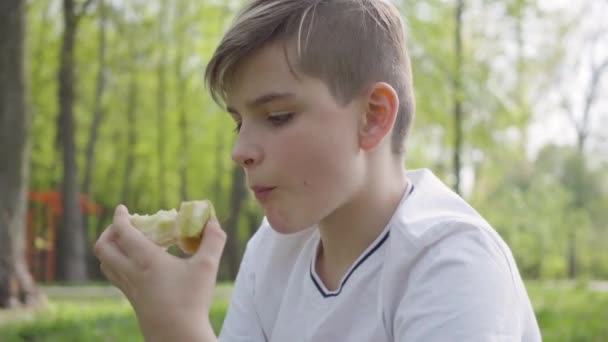 Porträtt ung liten pojke sitter med kudde i den gröna parken och äta ett äpple utomhus. Friluftsliv. — Stockvideo