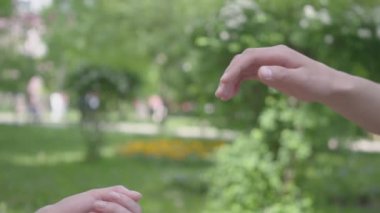 Erkek ve dişi eller ön planda birbirlerine dokunuyor. Arka planda güzel yeşil bir park. Boş zaman açık havada, genç çift bir tarih var