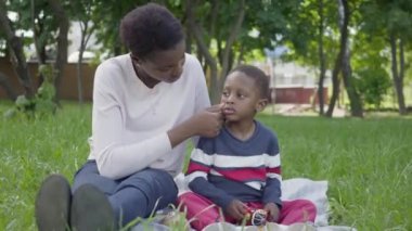 Portre sevimli Afro-Amerikan kadın parkta bir oyuncak ile oynarken küçük oğlu ile battaniye üzerinde oturan. Genç anne dışarıda çocuğuyla vakit geçiriyor. Piknikte sevgi dolu aile