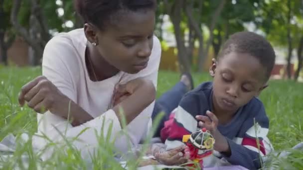 Porträt entzückende süße afrikanisch-amerikanische hübsche junge Frau auf der Decke liegend mit ihrem kleinen Sohn, der mit einem Spielzeug im Park spielt. die junge Mutter verbringt Zeit mit ihrem Kind im Freien. Liebe — Stockvideo