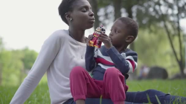 Retrato adorable linda mujer joven afroamericana bonita sentada en la manta con su hijo pequeño jugando con un juguete en el parque. La joven madre pasa tiempo con su hijo al aire libre. Amar — Vídeos de Stock