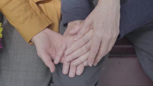 노인의 손을 잡고 노인의 손을 클로즈업. 성숙한 사람들의 손. 부드러운 관계 성인 커플 옥외. — 비디오