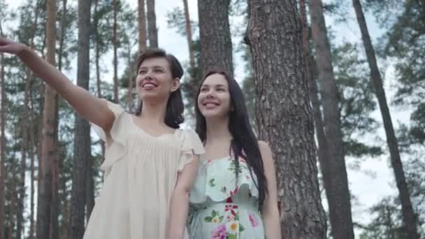 Portret twee schattige jonge vrouwen dragen jurken staande tegen de achtergrond van een dennenbos en kijken naar een prachtig uitzicht op de natuur. Mooie meiden lopen buiten de stad. Schattige vriendinnen buitenshuis. — Stockvideo