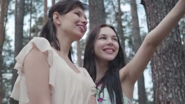 Retrato dois adorável jovem mulher usar vestidos de pé contra o fundo de uma floresta de pinheiros e olhando para uma vista incrível da natureza. Meninas bonitas caminham fora da cidade. Namoradas bonitas ao ar livre . — Vídeo de Stock