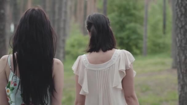 Espalda de dos hermosas mujeres con el pelo largo en vestidos cortos caminando en el bosque con cesta. Movimiento lento . — Vídeos de Stock