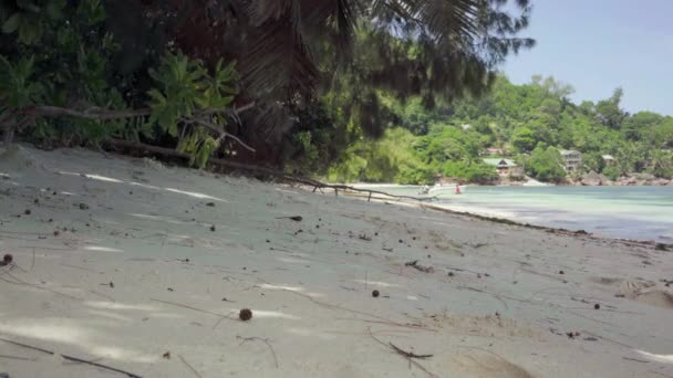 Seychelská. Ostrov Praslin. Nádherná krajina. Mořská voda je na pláži ve vlnách. Malé domy ukryté ve stromech u moře. Cestovní ruch, koncept dovolené. Luxusní dovolená na tropickém ostrově — Stock video