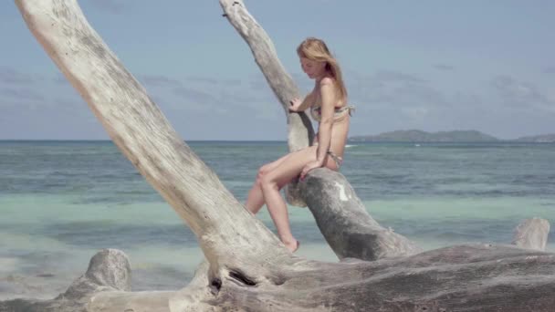 세이셸. 프라슬린 섬. 해변의 물에서 나무 줄기에 앉아 카메라를 찾고 귀여운 슬림 매력적인 젊은 여성. 관광, 휴가, 여행 개념. 트로피컬 아일랜드의 럭셔리 — 비디오