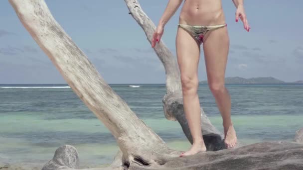 Seychellen. Praslin Island. niedlichen schlanken attraktiven jungen Frau zu Fuß auf einem trockenen Baum liegend am Strand einer exotischen Insel im indischen Ozean.. Reisekonzept. Luxusurlaub auf tropischen Inseln. — Stockvideo