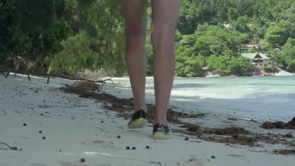 Seychellen. Praslin Island. Erwachsener Mann, der am Strand der atemberaubenden Insel mit Palmen, Bäumen, blauem Wasser und sanften Wellen spazieren geht. Luxusurlaub auf tropischen Inseln. — Stockvideo