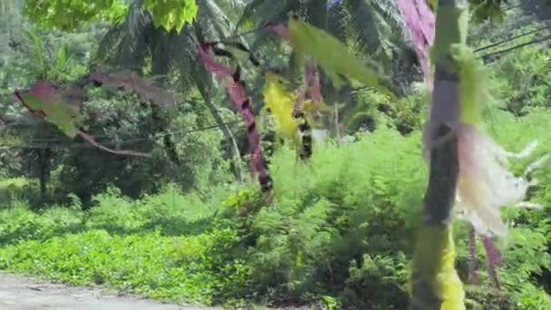 Seyşeller. Praslin Adası. Yeşillikler, avuç içi, halatta uçan renkli kurdeleler, yol ve uzaktaki evler ile muhteşem doğa. Tropikal ada lüks tatil. — Stok video