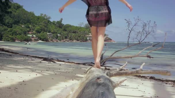 Seyşeller. Praslin Adası. Ağacın gövdesi kıyıda, yan lara kök salan bir yerde yatıyor. Genç kadın suya doğru yürüyor. Güzel deniz manzarası. Denizdeki ağaçlara gizlenmiş küçük evler — Stok video