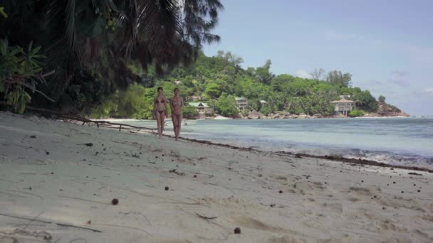 Сейшельские острова. Остров Праслин. Две стройные симпатичные девушки в купальниках прогуливаются по пляжу удивительного удивительного острова с пальмами, деревьями, голубой захватывающей водой. Тропический остров роскошный отдых . — стоковое видео