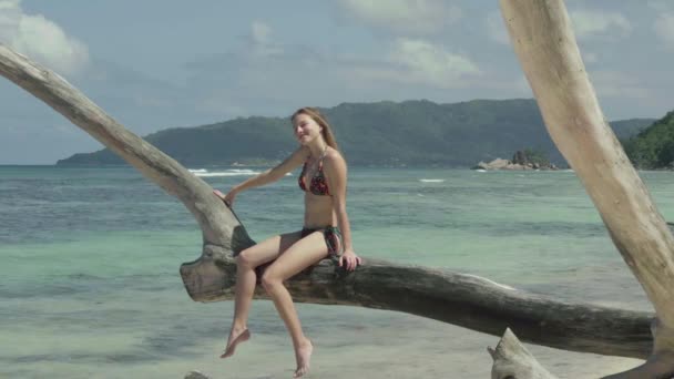 Seychelles. L'île Praslin. Mignon mince jolie jeune femme assise sur le tronc d'arbre à l'eau sur la plage. Tourisme, vacances, concept de voyage. Tropical île vacances de luxe . — Video