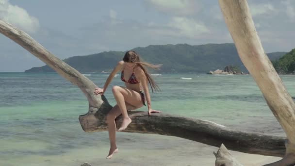 塞舌尔。普拉斯林岛苗条迷人的年轻女子坐在树干上，在沙滩上的水，然后站在它与她的脚和步行。旅游、度假、旅游理念. — 图库视频影像
