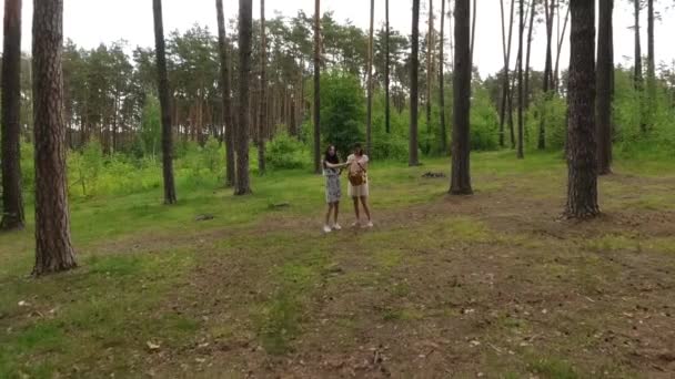 Vista superior de las mujeres jóvenes usan vestidos de verano de pie en la parte superior de la roca y mirando la increíble vista de la naturaleza. Adorables novias pasando el fin de semana juntas al aire libre. Disparando desde el dron . — Vídeos de Stock