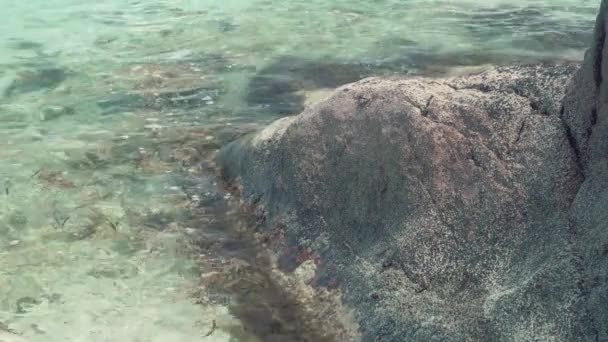 Seychelská. Ostrov Praslin. Čistá mořská voda je na skále. Na kameni se plazí malý krab. Turistika, dovolená, koncepce cestování — Stock video