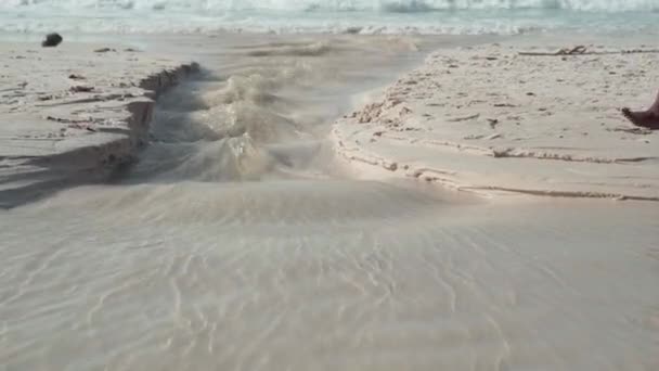 Сейшельська. Острів Праслен. Чіткий потік води, що надходить у море крупним планом. Красивий порожній пляж з білим піском і блакитною водою. Чисті хвилі котитися на пляжі. Туризм, концепція відпочинку — стокове відео