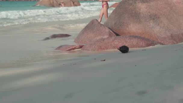 Seychelská. Ostrov Praslin. Roztomilá mladá dívka kráčí po břehu exotického ostrova v Indickém oceánu.. — Stock video