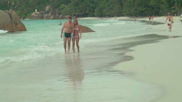 Seicheles. Ilha Praslin. Belo casal feliz no amor descansando na praia na ilha. Uma mulher bonita de fato de banho às riscas a agarrar a mão do marido. O homem e a mulher na praia de areia — Vídeo de Stock