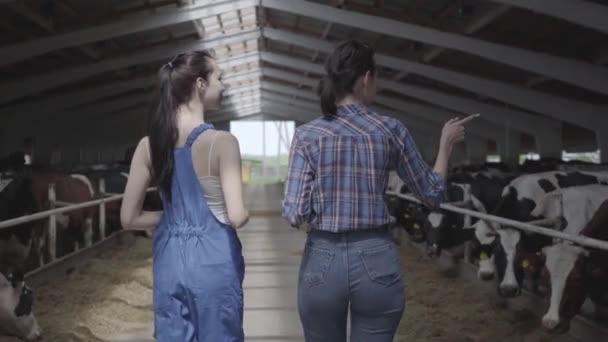 Молодые девушки-фермеры совершают экскурсию по амбару с коровами на ферме. Девушка фермер показывает посетителям коров и телят на ферме . — стоковое видео
