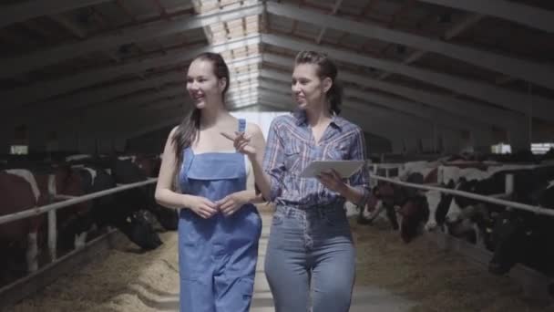 Portrét dvou ženských farmářů, kteří dělají prohlídku stodoly s kravami na farmě. Farmář ukazuje návštěvnické krávy a telata na farmě. Dívka přináší informace do tabletu.