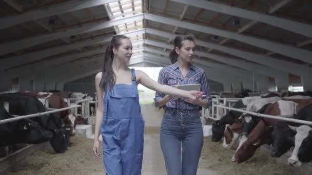 Retrato duas garotas fazendeiras fazendo um passeio pelo celeiro com vacas na fazenda. Rapariga agricultora mostra as vacas visitante e bezerros na fazenda. A menina traz informações para o tablet . — Vídeo de Stock