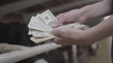 Kadın işçiler inekler ile stand önünde sığır çiftliği üzerinde para sayma eller. Olumlu çiftçi çiftliğinden gelir alır. Tarım endüstrisi, tarım ve Hayvancılık konsepti