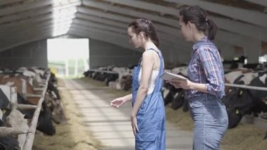 Portre iki kız çiftçiler çiftlikte inekler ile ahır bir tur yapma. Kız çiftçi çiftlikte ziyaretçi inekler ve buzağı gösterir. Kız çiftçi tablete bilgi getiriyor.