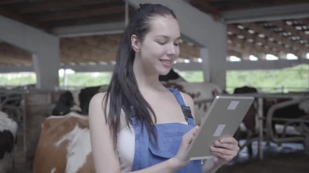 Retrato de una joven trabajadora bonita en la granja de vacas comprobando el proceso de trabajo, usando su tableta. El agricultor positivo cuida de los animales. Industria agrícola, agricultura y ganadería — Vídeos de Stock