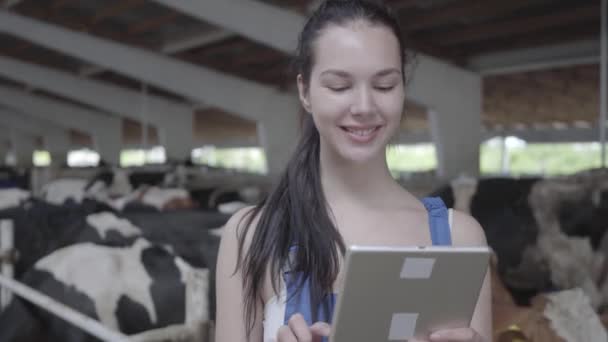 年轻的女农民在农场里带着奶牛参观谷仓,在平板电脑上记录证词。小牛在现代农场的喂养过程。奶牛在奶牛场吃干草。牛棚. — 图库视频影像