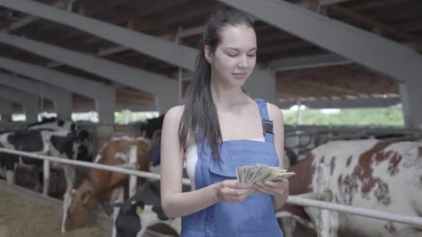 Retrato de uma jovem trabalhadora bonita na fazenda de vacas contando dinheiro sorrindo. Fazendeiro positivo recebe renda de sua fazenda. Conceito de agricultura, agricultura e pecuária — Vídeo de Stock