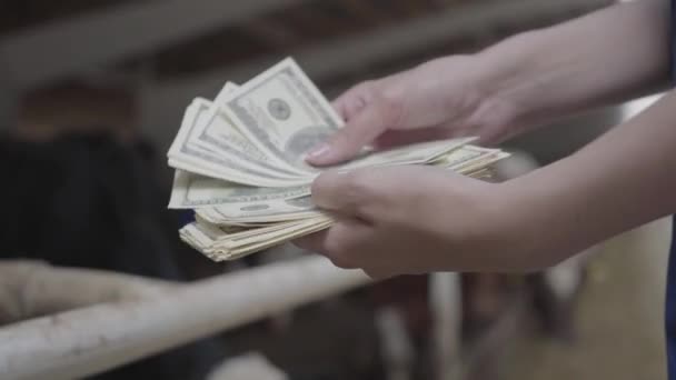 Женщины-рабочие руками пересчитывают деньги на коровьей ферме перед стойлом с коровами. Положительный фермер получает доход от своей фермы. Концепция сельского хозяйства, сельского хозяйства и животноводства — стоковое видео