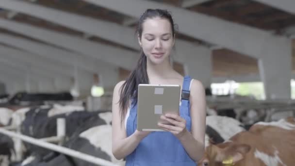 Portrait d'une jeune agricultrice confiante faisant une visite de la grange avec des vaches à la ferme enregistrant des témoignages sur tablette. Processus d'alimentation des veaux sur la ferme moderne. Vache à la ferme laitière mangeant du foin. Berceau . — Video